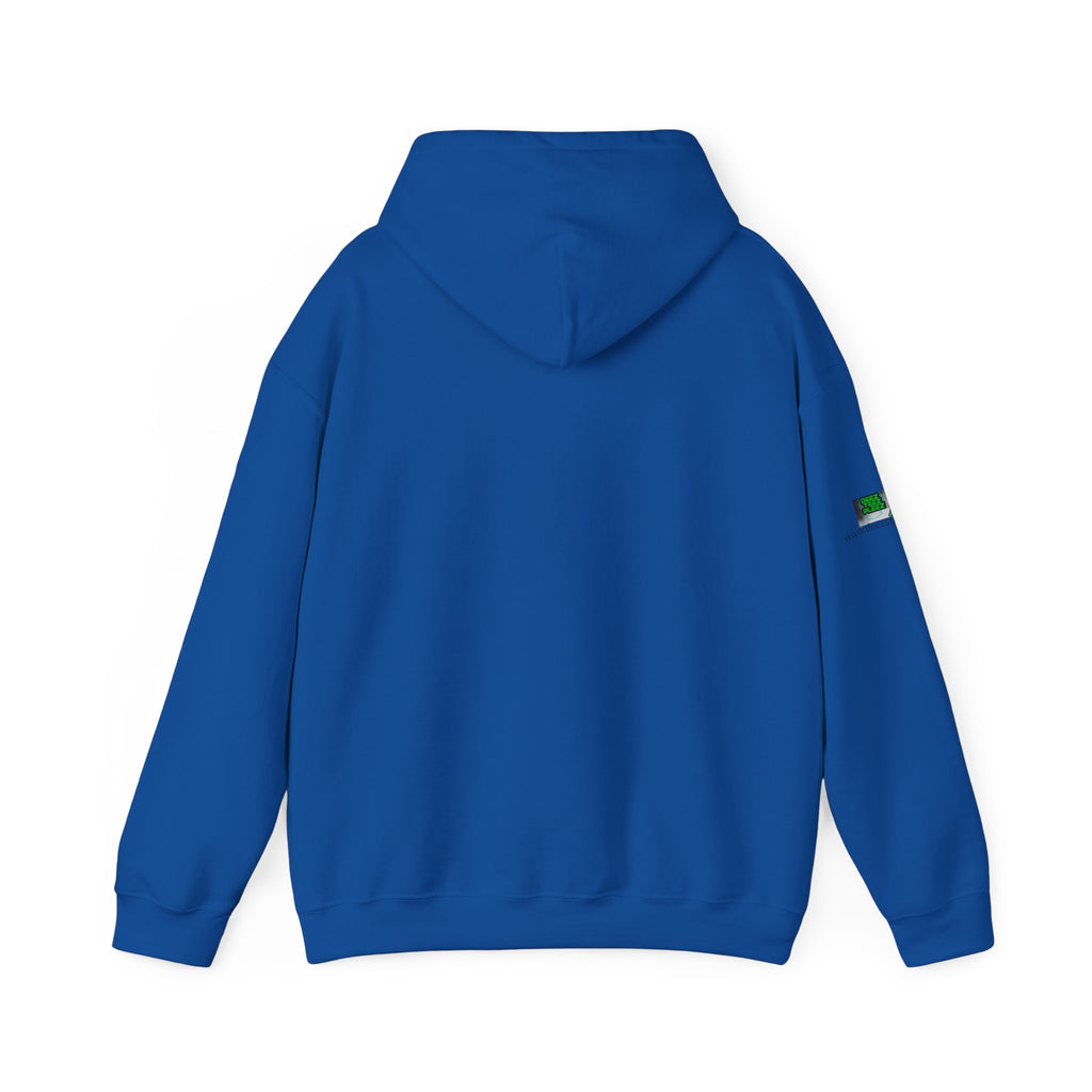 "I Brake for Garage & Yard Sales" Hoodie — Vintage Graphic Hoodie