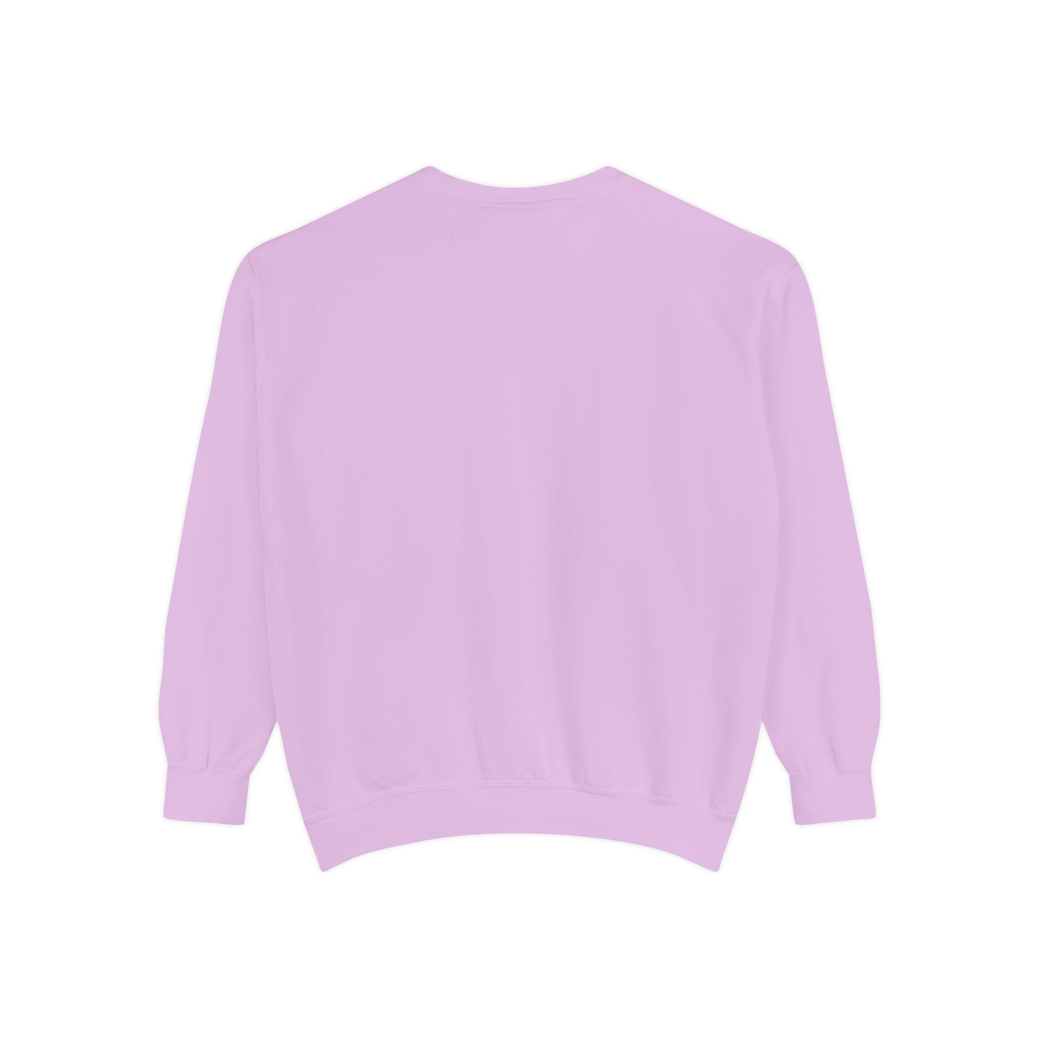 Never Give Up Sweatshirt — Motivational Garment-Dyed Crewneck