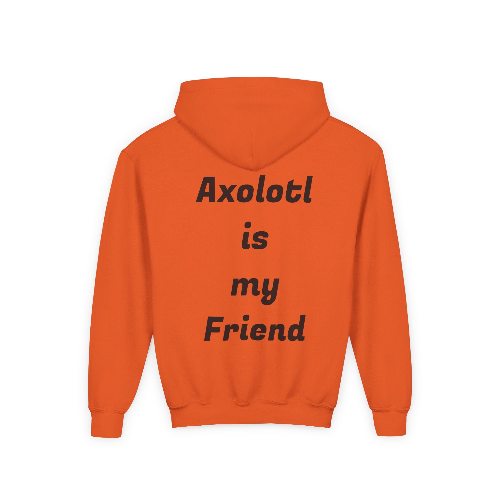 Youth Axolotl Hoodie — Cute Black Axolotl Graphic & “Axolotl is my Friend” Back Print