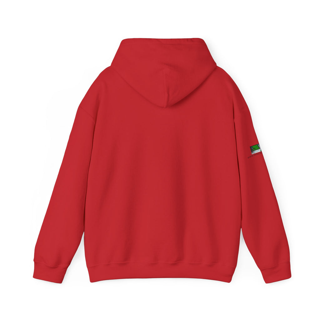 "I Brake for Garage & Yard Sales" Hoodie — Vintage Graphic Hoodie