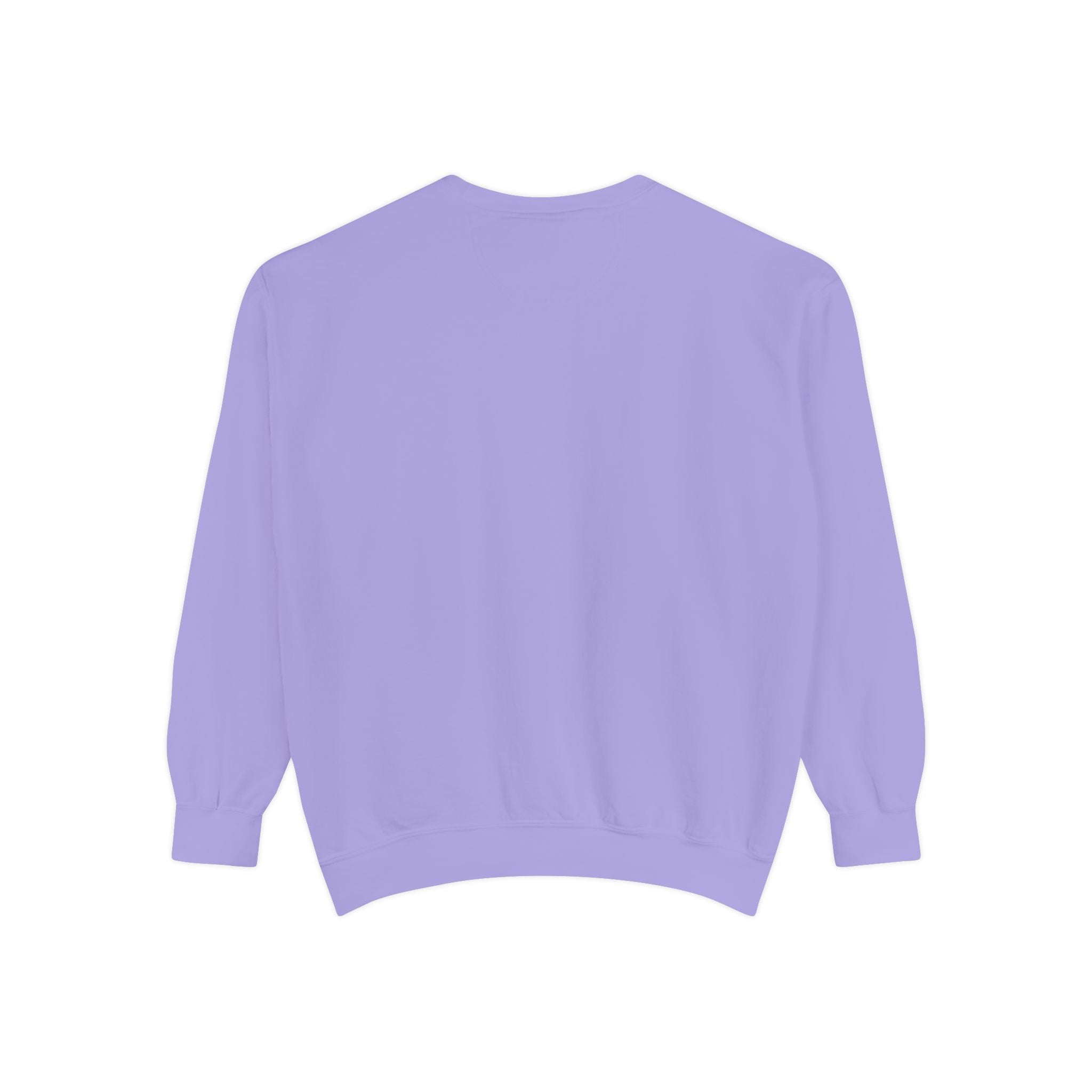 Never Give Up Sweatshirt — Motivational Garment-Dyed Crewneck