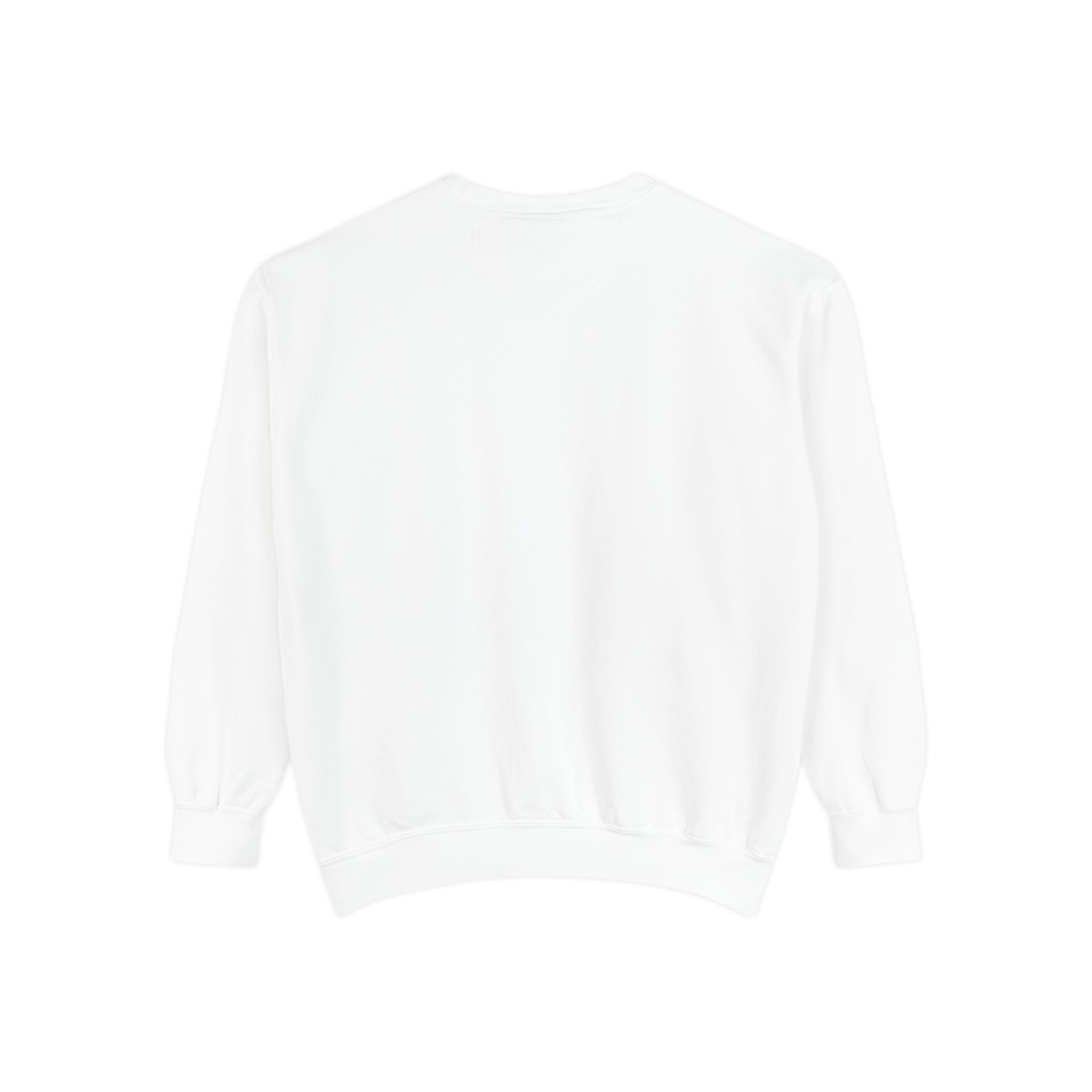 Never Give Up Sweatshirt — Motivational Garment-Dyed Crewneck
