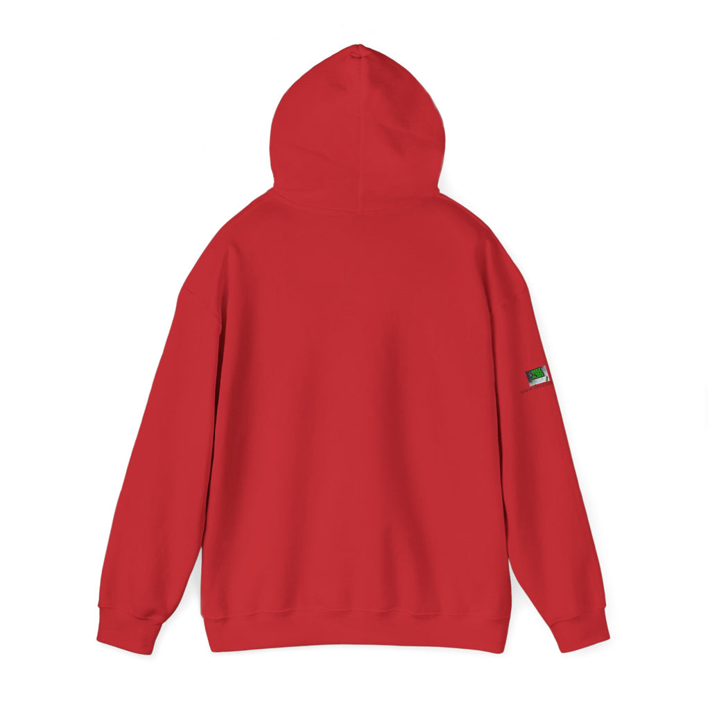 "I Brake for Garage & Yard Sales" Hoodie — Vintage Graphic Hoodie